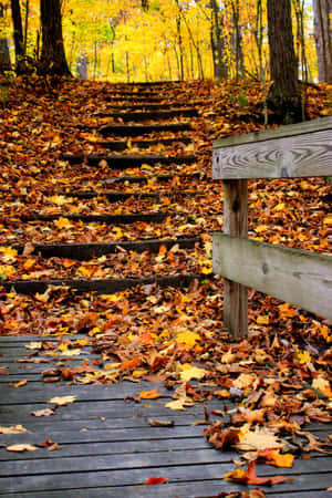 A Beautiful Fall Hike On A Vibrant Forest Trail Wallpaper