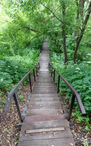 A Beautiful Fall Morning Captured In The Forest Wallpaper