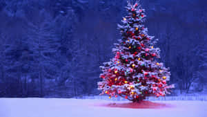 A Beautiful, Festive And Cute Christmas Tree To Keep You In The Spirit Of The Holidays. Wallpaper