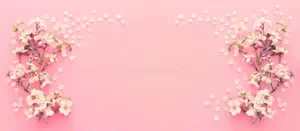 A Beautiful Field Of Pink Cherry Blossom Trees Wallpaper