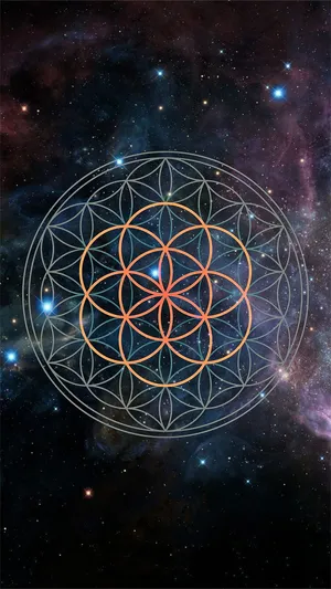 A Beautiful Flower Of Life Diagram Wallpaper