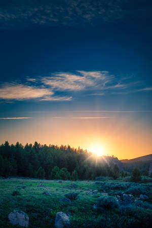 A Beautiful Forest Mountain Landscape At Dawn Wallpaper