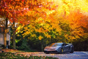 A Beautiful Gray Lamborghini Gallardo Making Its Way Through The Crispy Autumn Air. Wallpaper