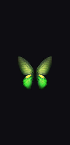 A Beautiful Green Butterfly On A Flower Wallpaper