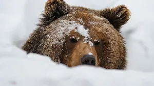 A Beautiful Landscape Wallpaper