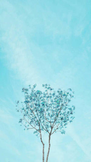 A Beautiful Light Blue Color With A Cute Design. Wallpaper