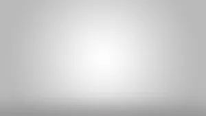 A Beautiful Light Gray Landscape Wallpaper