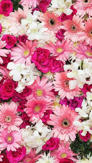 A Beautiful Light Pink Floral Iphone Wallpaper