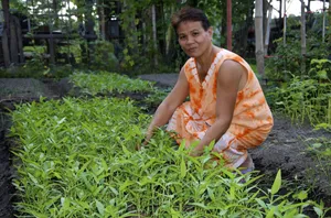 A Beautiful Organic Farm At Sunrise Wallpaper