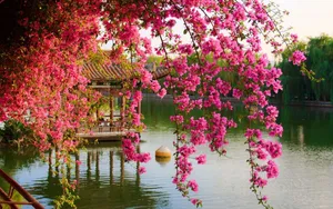 A Beautiful Pink Hanging Flower, Softly Swaying In The Wind. Wallpaper