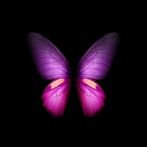 A Beautiful Purple Butterfly Adorns This Iphone Screen. Wallpaper