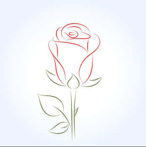 A Beautiful Red Rose Symbolizing Love And Romance Wallpaper