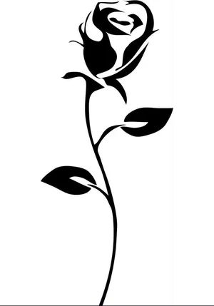 A Beautiful Red Rose Symbolizing Love, Passion, And Romance Wallpaper