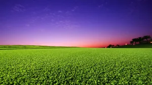 A Beautiful Sky Of Pink And Orange Hues Sets A Serene Backdrop For A Pristine Golf Course Lined With Lush Green Grass Wallpaper