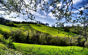 A Beautiful Spring Day At The Park Wallpaper