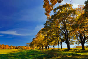 A Beautiful View Of The Countryside In Early Fall. Wallpaper