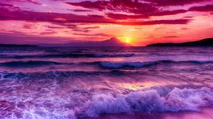 A Beautiful View Of The Shoreline Surrounded By Cliffs Full Of Life. Wallpaper