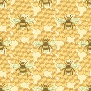 A Beautiful Vintage Bee In A Summer Meadow. Wallpaper