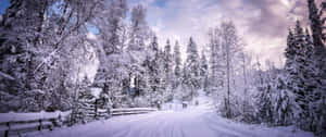 A Beautiful Winter Landscape Wallpaper