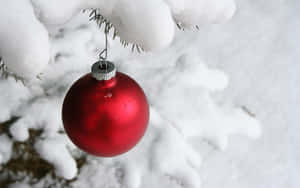 A Beautiful Winter Night Beneath A Snow-covered Christmas Tree Wallpaper