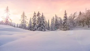 A Beautiful Winter Scene With Snow-covered Trees Wallpaper
