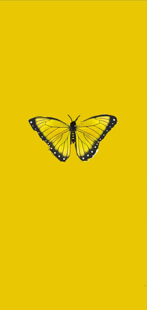 A Beautiful Yellow Butterfly Perched On A Flower Wallpaper