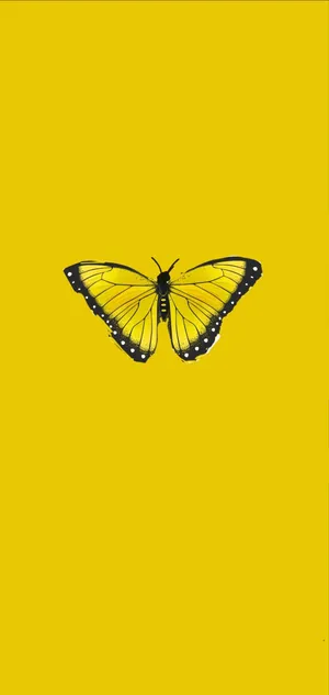 A Beautiful Yellow Butterfly Perched On A Flower Wallpaper