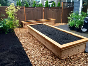 A Beautifully Landscaped Garden Bed To Enjoy In The Comfort Of Your Own Backyard Wallpaper