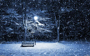 A Bench In The Snow Wallpaper