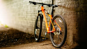 A Bike Leaning Against A Wall Wallpaper