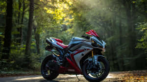 A Biker Riding His 2560x1440 Motorcycle Along A Rural Road Wallpaper