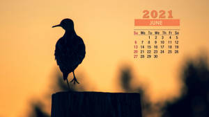 A Bird Is Standing On A Wooden Post With A Sunset Behind It Wallpaper