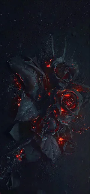 A Black And Red Rose With Flames On It Wallpaper