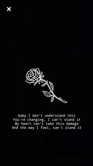 A Black And White Image Of A Rose With The Words'i Don't Understand' Wallpaper