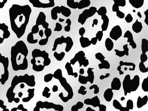 A Black And White Leopard Print Pattern Wallpaper