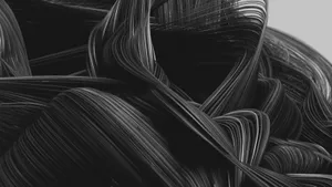 A Black And White Photo Of A Black And White Abstract Wallpaper