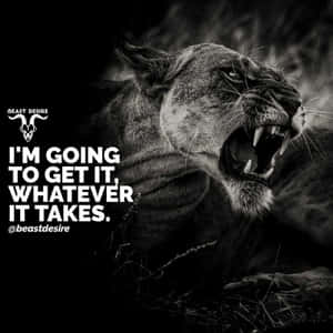 A Black And White Photo Of A Lion With The Quote I'm Going To Get It Whatever It Takes Wallpaper