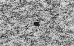 A Black And White Photo Of An Apple Logo On A Snowy Surface Wallpaper