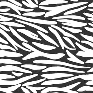 A Black And White Zebra Print Pattern Wallpaper