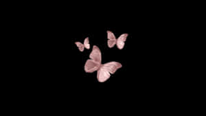 A Black Background With Pink Butterflies Flying In The Air Wallpaper