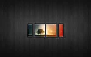 A Black Background With Three Trees And A Sunset Wallpaper