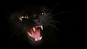 A Black Cat With Its Mouth Open On A Black Background Wallpaper