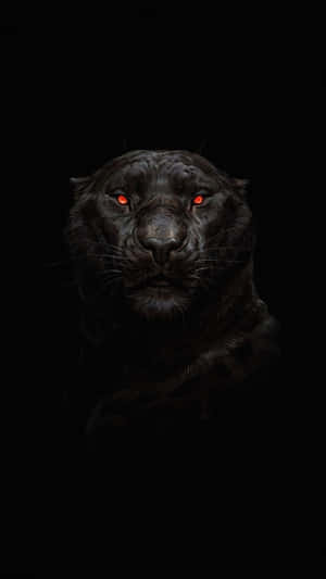 A Black Leopard With Red Eyes On A Dark Background Wallpaper