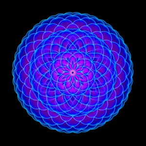 A Blue And Purple Flower On A Black Background Wallpaper