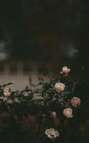 A Blue Wave Of Calm Wallpaper