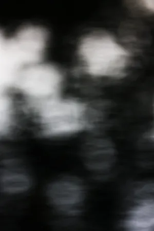 A Blurry Image Of A Tree Wallpaper