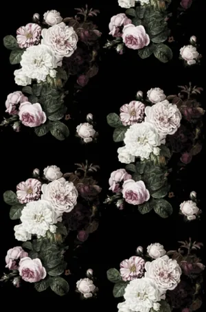 A Bold And Vibrant Pattern Of Black And Pink Florals Wallpaper