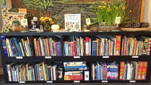 A Book Shelf With Books And Plants Wallpaper