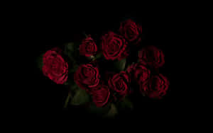 A Bouquet Of Beautiful Roses For Valentine's Day Wallpaper