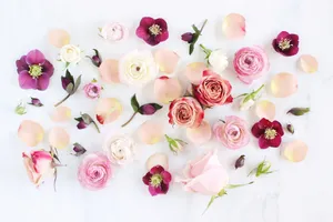 A Bouquet Of Pink And White Flowers On A White Background Wallpaper